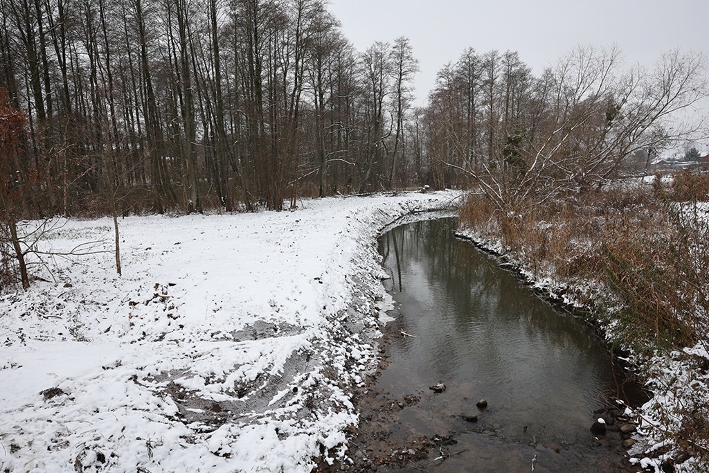 Завершена расчистка реки Каменки в Калининградской области