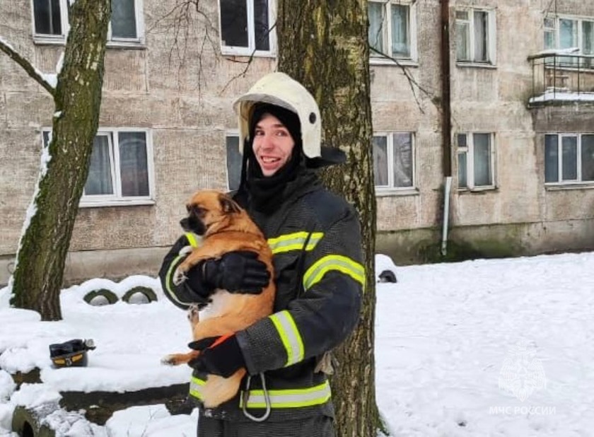 В Советске пожарные спасли из огня собаку