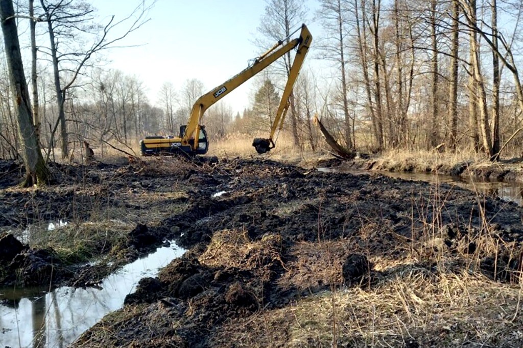 В Калининграде начались работы по расчистке Литовского ручья