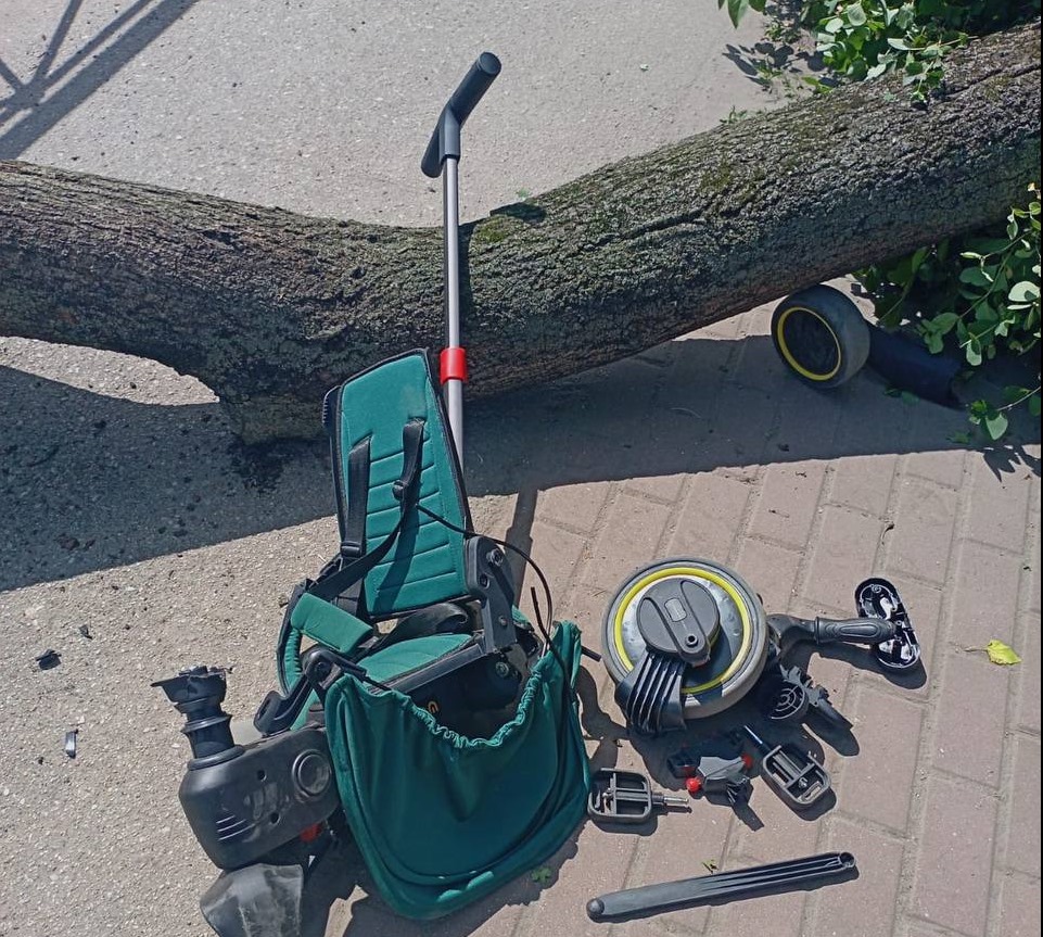 В Черняховске на двухлетнего ребёнка упало дерево