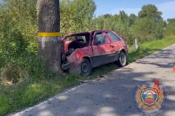 Водитель «Фольксвагена» умер после наезда на придорожное дерево