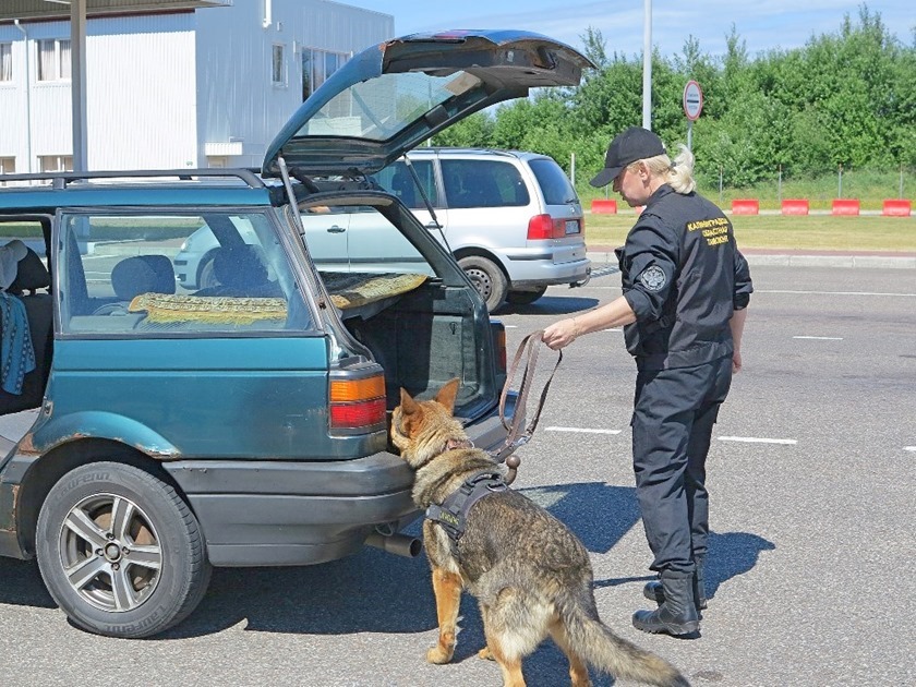 В Калининградскую область за сутки въехало 320 легковых автомобилей