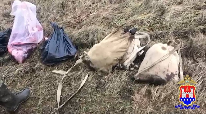 За незаконную охоту на лосей задержаны двое калининградцев