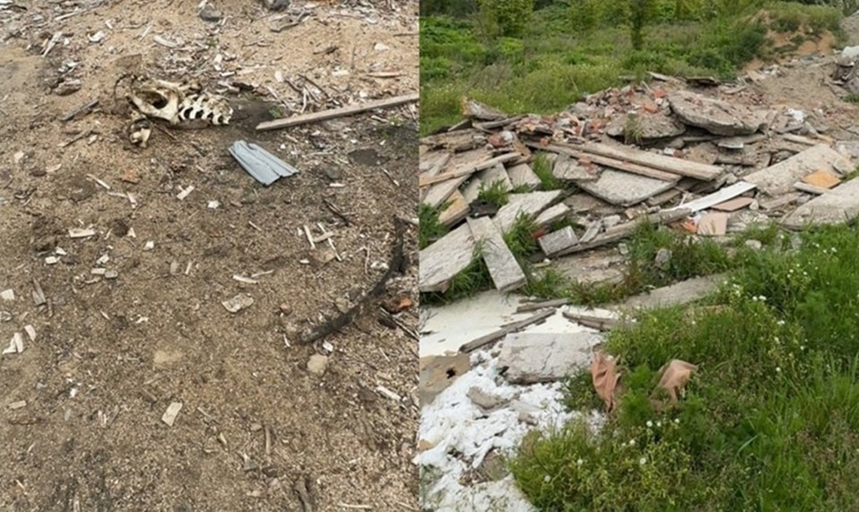 В Калининградской области нашлась незаконная свалка на сельхозземлях