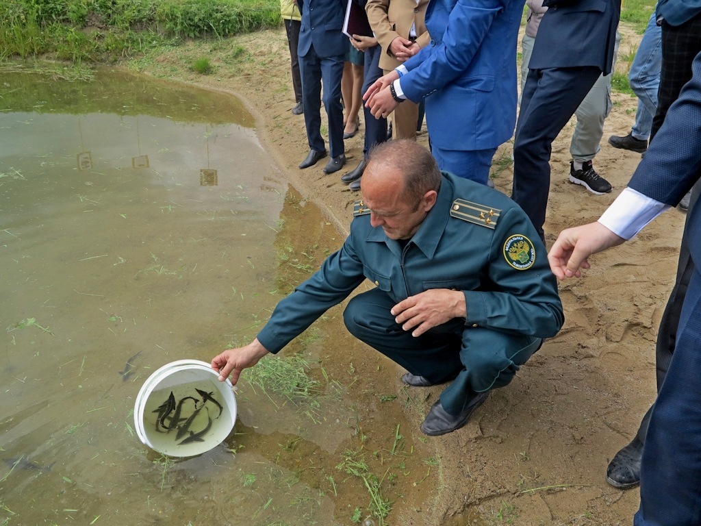 Калининградские таможенники поддержали экологический проект учебного заведения
