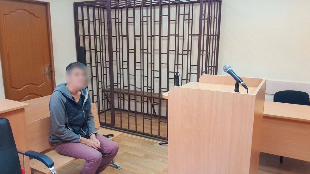 Калининградка осуждена за призывы против безопасности государства