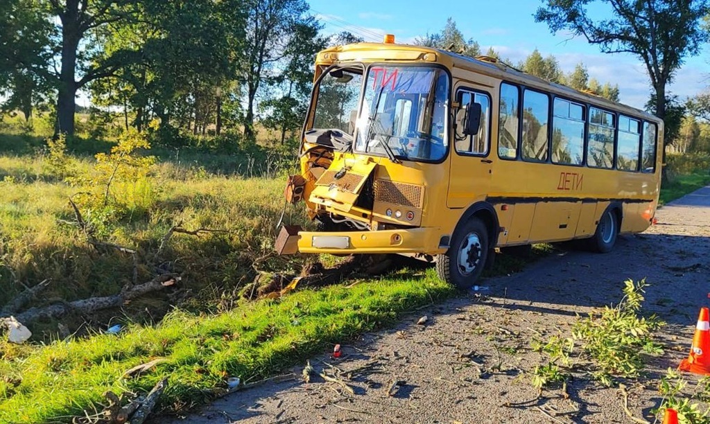 СК начал проверку после ДТП со школьным автобусом в Калининградской области