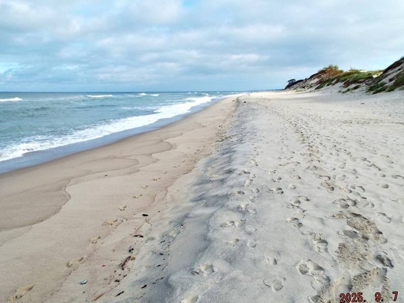 На экофоруме «Сохраняя Куршскую косу» эксперты обсудят сохранение жемчужины Балтийского моря