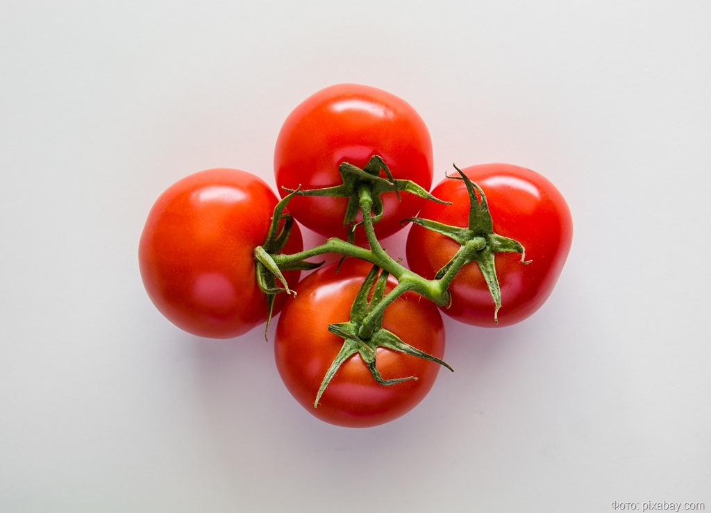 Россельхознадзор заблокировал ввоз 18 тонн зараженных овощей из Турции