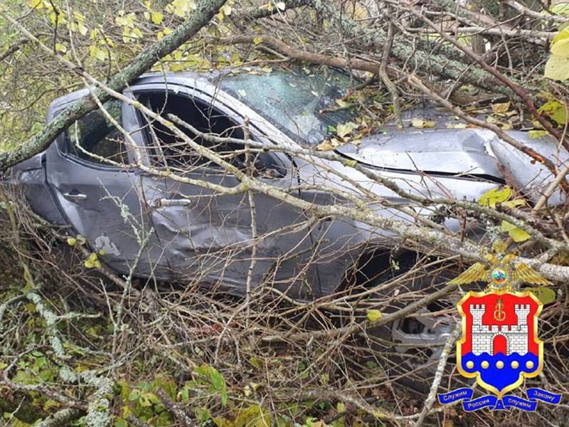 В Правдинске сожитель дочери угнал пикап у пенсионерки