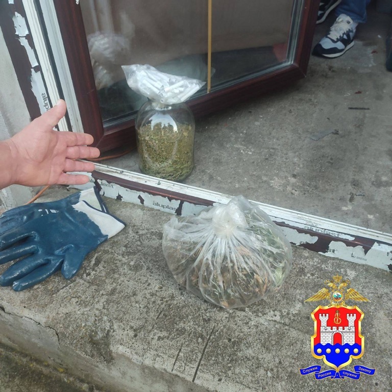 В Гурьевском районе изъяли 358 граммов марихуаны В Гурьевском районе изъяли 358 граммов марихуаны