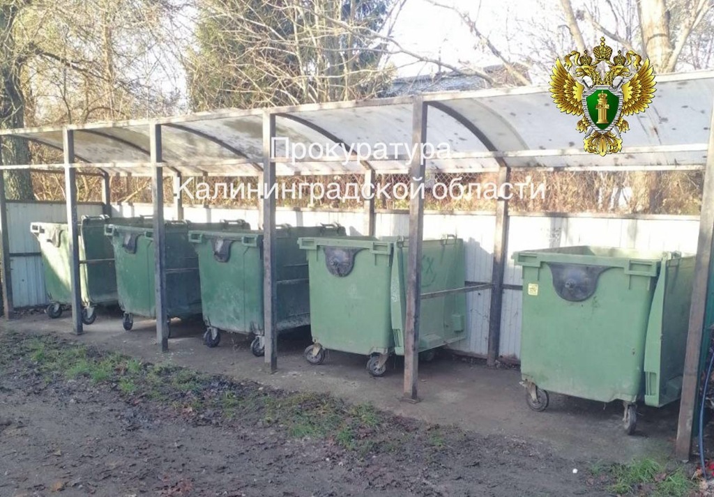 В поселке Дружное ликвидировали свалку после вмешательства прокуратуры В поселке Дружное ликвидировали свалку после вмешательства прокуратуры