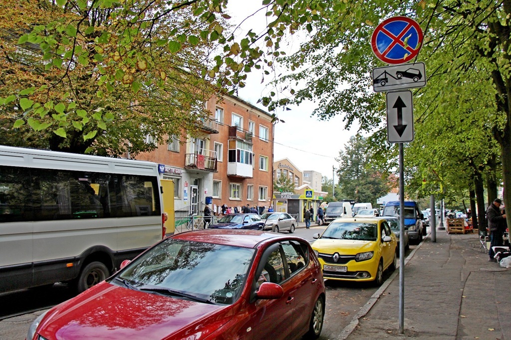 Доля электромобилей в Калининградской области втрое превысила долю газовых авто Доля электромобилей в Калининградской области втрое превысила долю газовых авто