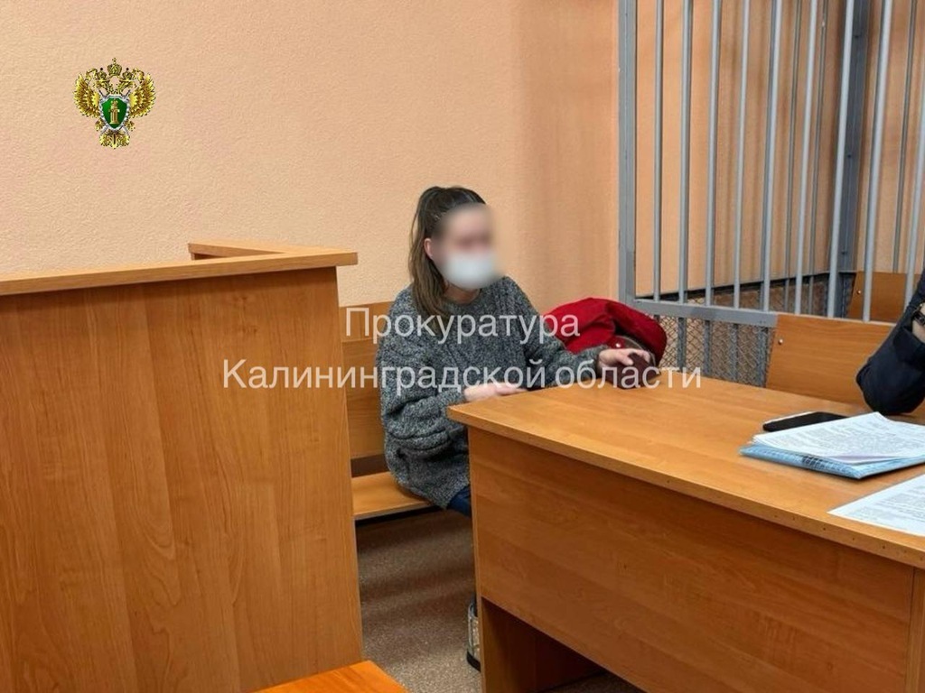 Калининградка осуждена на полтора года за ножевое ранение сожителя